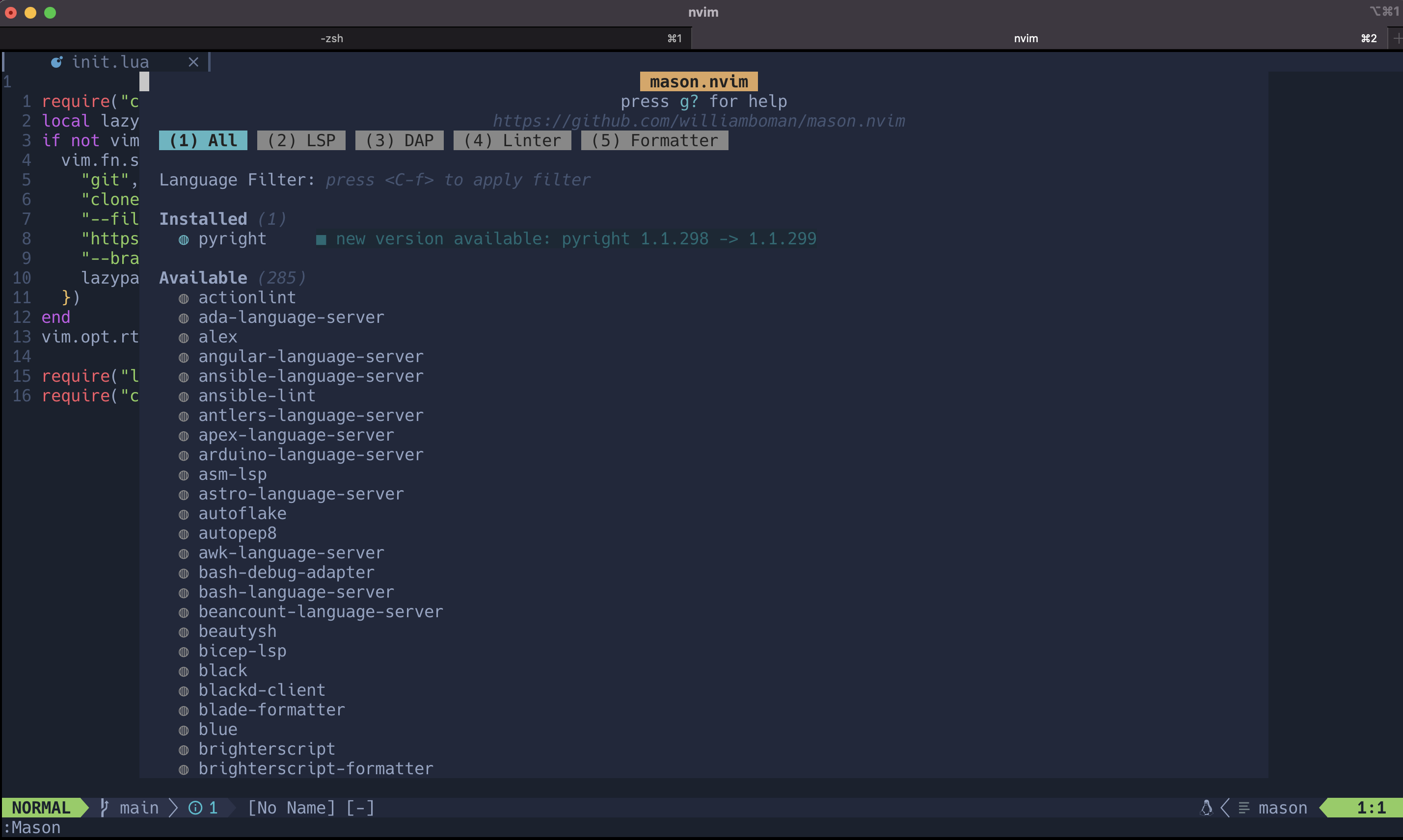 Neovim text editor with LSP screen